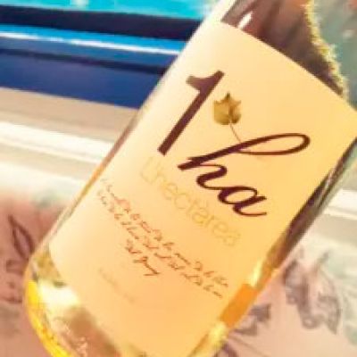 L'Hectàrea vino Garraf